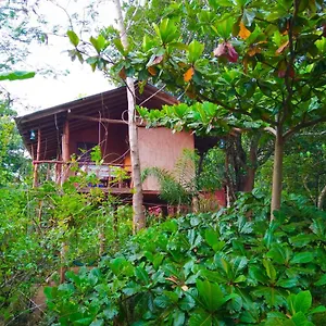 Akash Treehouse , Сигирия Шри-Ланка